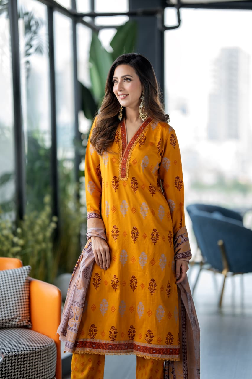 WhatsApp Image 2025-11-11 at 21.26